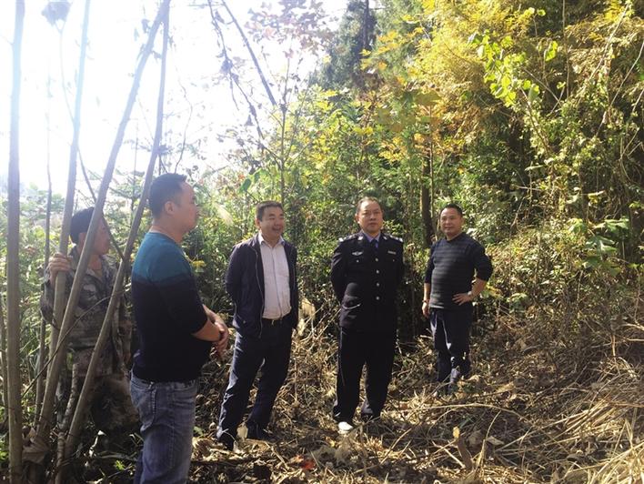 龙山县林业局局长贾高顺(左三)在砂子坡林场指导森林防火演练.