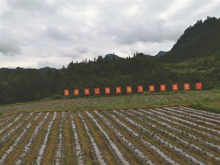 水田坝人口_秭归县水田坝乡马营村