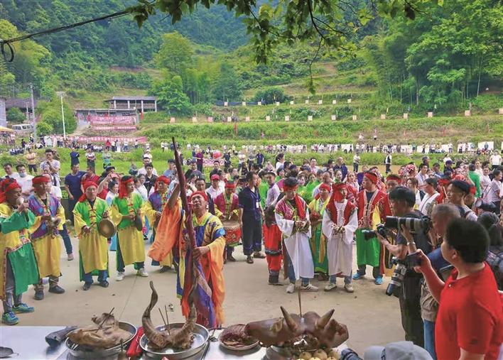 热闹“开秧门”：半岛官方下载地址(图3)