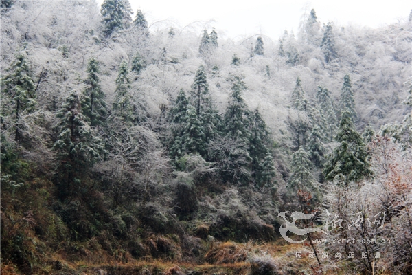 凤凰腊尔山寒潮迎春雪图